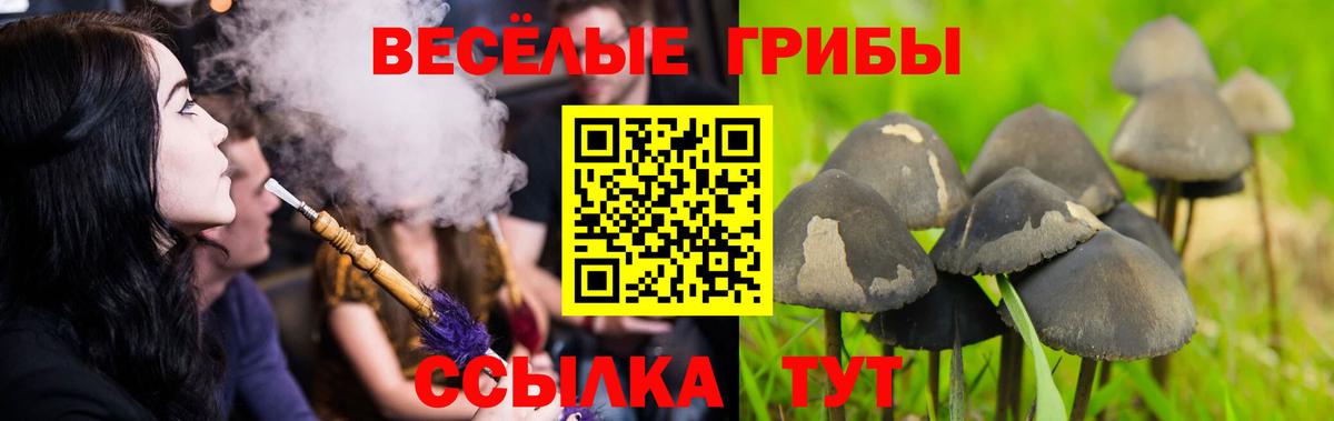 Галлюциногенные грибы прущие грибы Обнинск